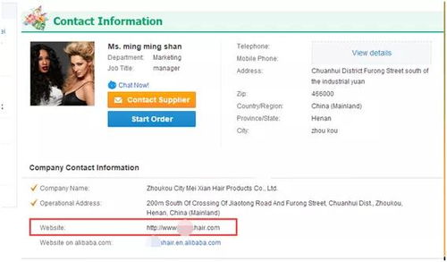 一、 独立站与平台的优势解析