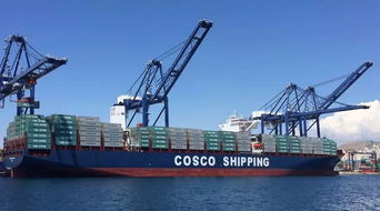 增值服务：打造全方位的物流体系