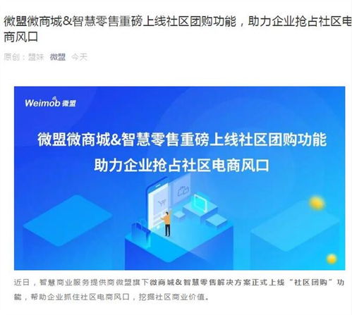 京挑客与团长的关系：同质还是异质？