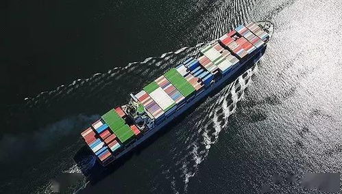 在运力博弈中，中小卖家的核心优势在于灵活性和区域政策敏感度。