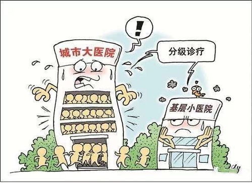 国际配送：自发货与FBC物流服务的权衡