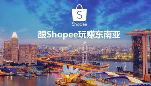 马瑙斯物流中心的重要性