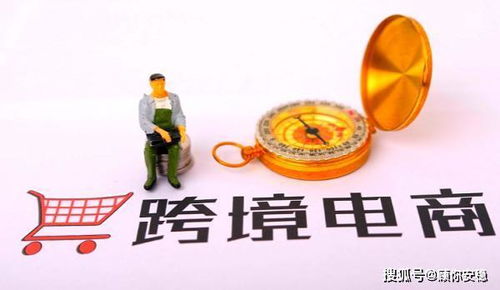 3. 产品同质化严重