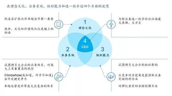 敦煌网的运营业务