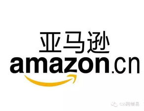 美国， 企业选择注册的多种公司形式