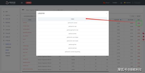 1. 确定目标市场