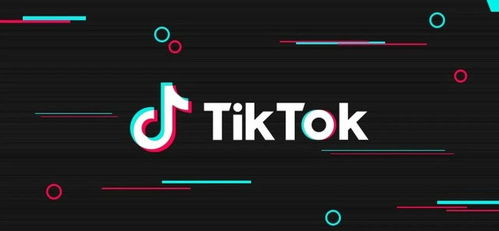 TikTok的回应：失望与律法挑战