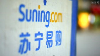 平台概况与品牌认知