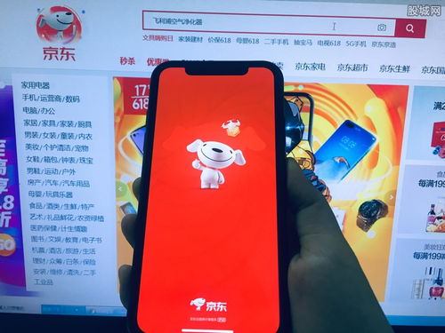 京东购物平台概述