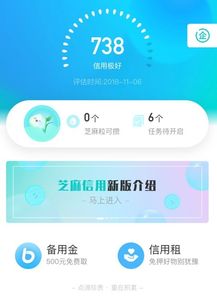一、 支付宝芝麻粒的价值与用途