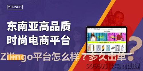 Zilingo平台：多元化商品格局下的销售机遇
