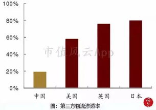 市场支持计划与运营效率提升