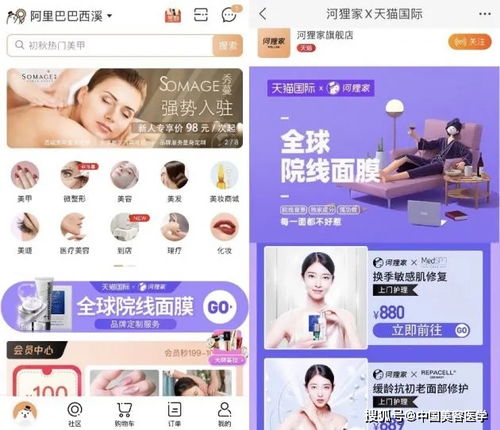 三、 跨境电商入驻天猫国际