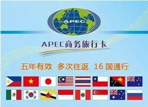 二、 美国知名卡派公司一览