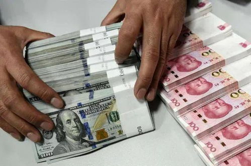 一、 外汇管理政策的演变与现状