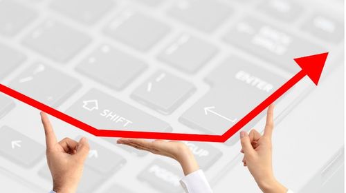 一、 掌握拼多多平台特点，精准定位流量来源