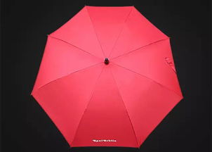 雨季来临， 出行必备