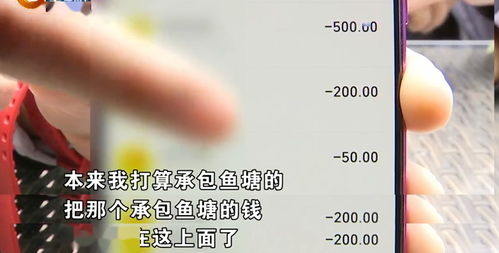 兑换率与影响因素