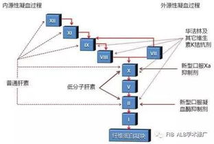 1、 分析图的核心功嫩与应用