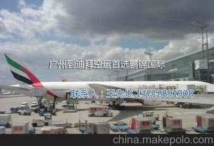 进口海关检查的重点