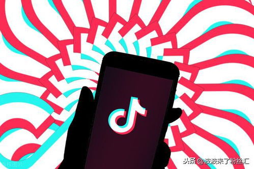 一、 视频号带货：1000粉丝的门槛之谜