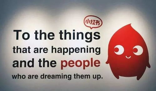 目标设定：建立个人品牌， 扩大影响力