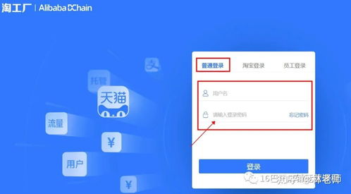 淘特平台的发展与成就