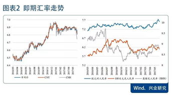 汇率的制定与影响