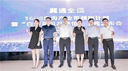 一、 白沟产业带的发展现状与挑战