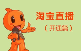 一、 淘宝直播数字显示功Neng的重要性