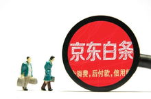 二、 京东白条的使用与潜在影响