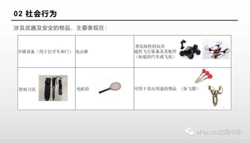 6. 含有反动、 淫秽或有伤风化内容的物品