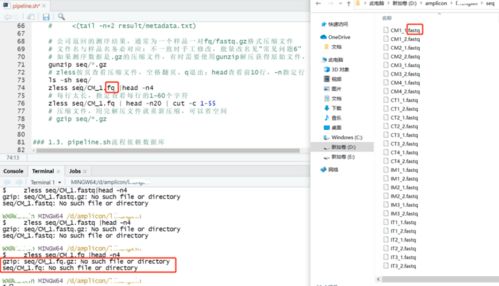 一、 地址错误：数据录入的“人工盲区”与跨国格式差异的叠加