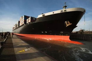 中东市场的清关政策与监管措施