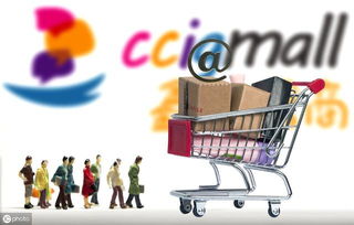 技术支持的应用与整合