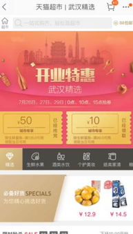 一、天猫超市优惠券抢购活动的现状分析