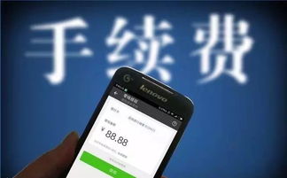 4. 第三方支付平台还款