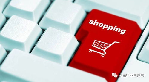 2. 工单处理原则有变化吗？