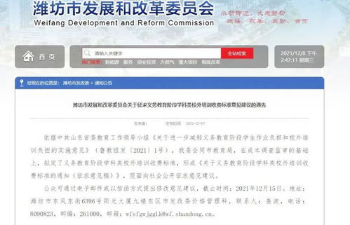 确认支付平台的合规性与监管