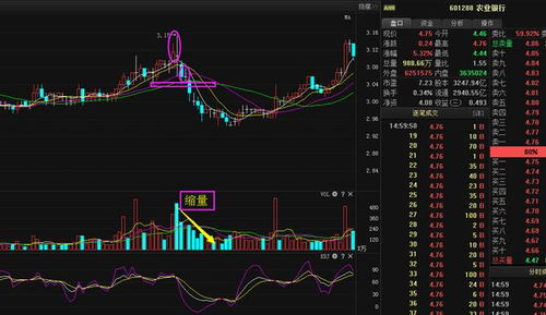 四、地理位置：选址的辐射考量