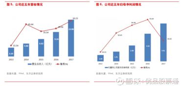 五、 市场拓展与新兴市场潜力