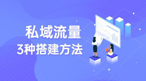 四、 私域沉淀：构建品牌信任的关键