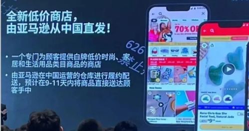 亚马逊低价商店的运营模式及支持