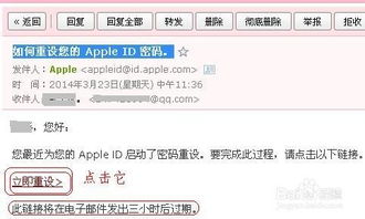 6. 确认密码设置成功后 使用新密码重新登录账户