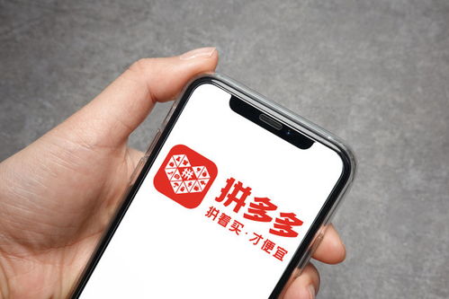 回收价波动风险