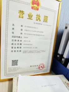 二、 Lazada营业执照注册店铺的局限性