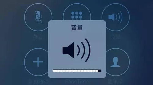 3. 音频设置问题排查