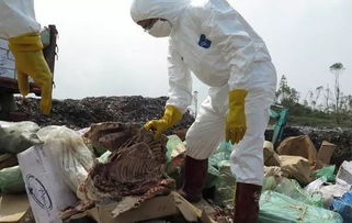 犯法团伙搭建了一条“境外采购—越南中转—绕关走私—境内分销”的完整犯法链条