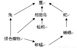 （一）航班异常：跨境物流的“不稳定因素”