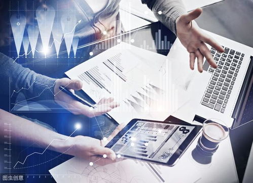 4. IBC（International Business Company）